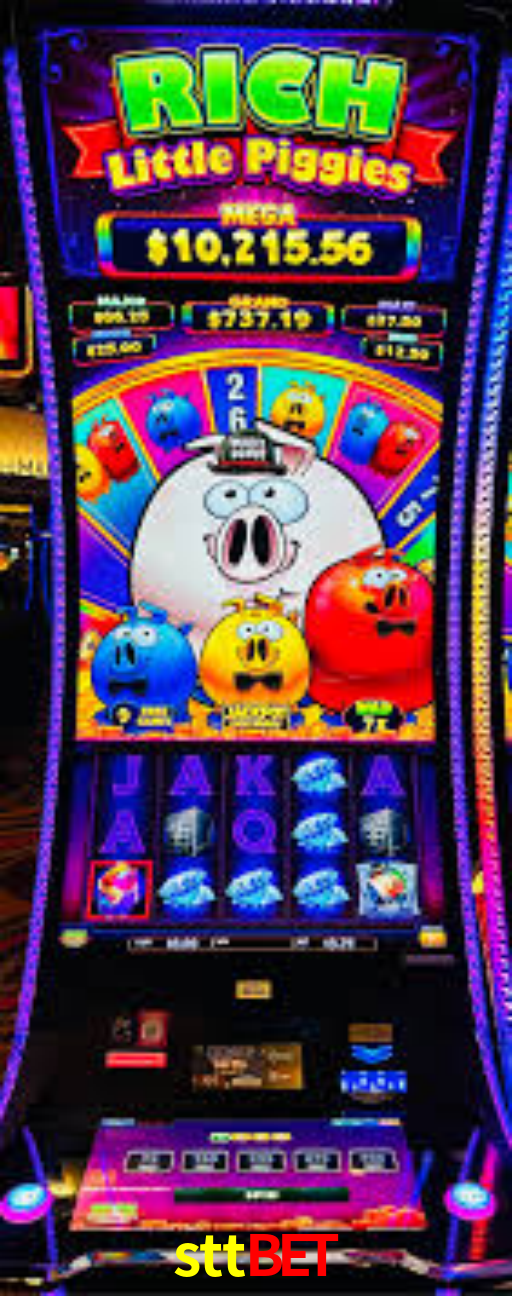 Interface Premium sttbet